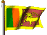 Sri-Lanka Flagge
